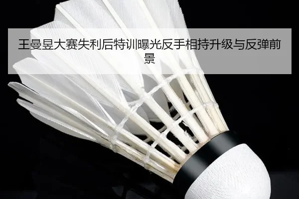 王曼昱大赛失利后特训曝光反手相持升级与反弹前景